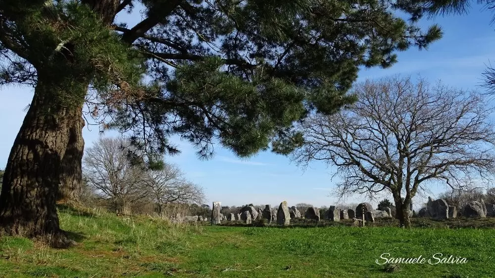 Gli allineamenti di Carnac in Bretagna